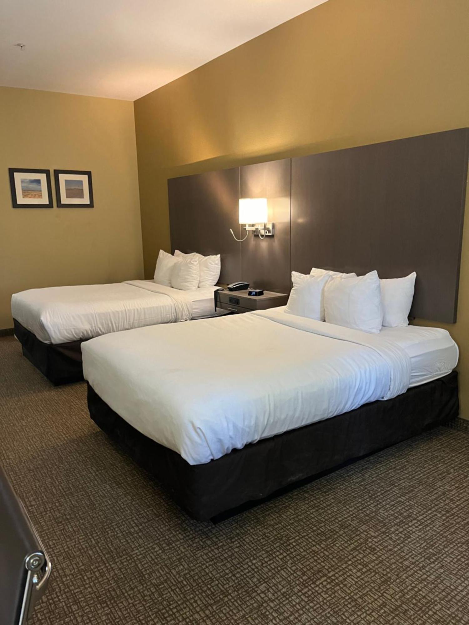 Comfort Inn & Suites Monahans I-20 Buitenkant foto